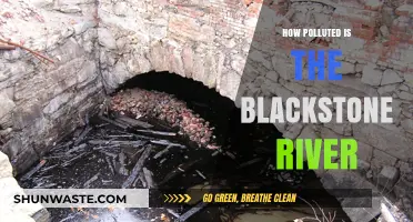 Blackstone River's Pollution: A Troubling Environmental Concern