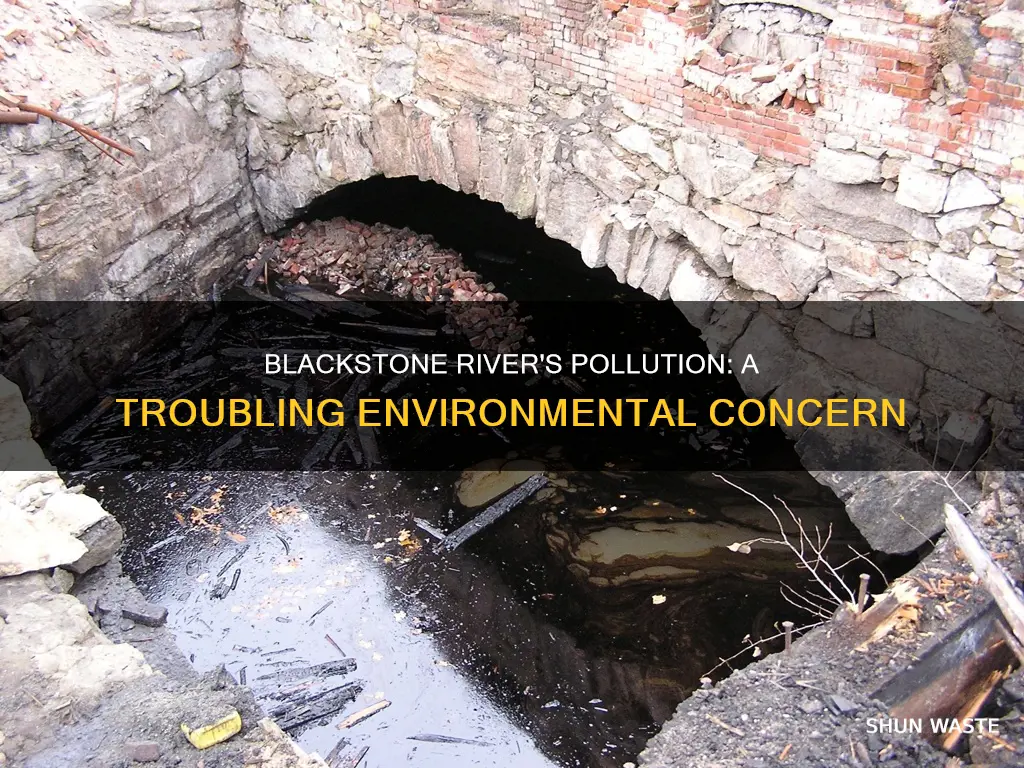 how polluted is the blackstone river