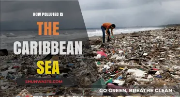 Caribbean Sea Pollution: A Worrying Reality