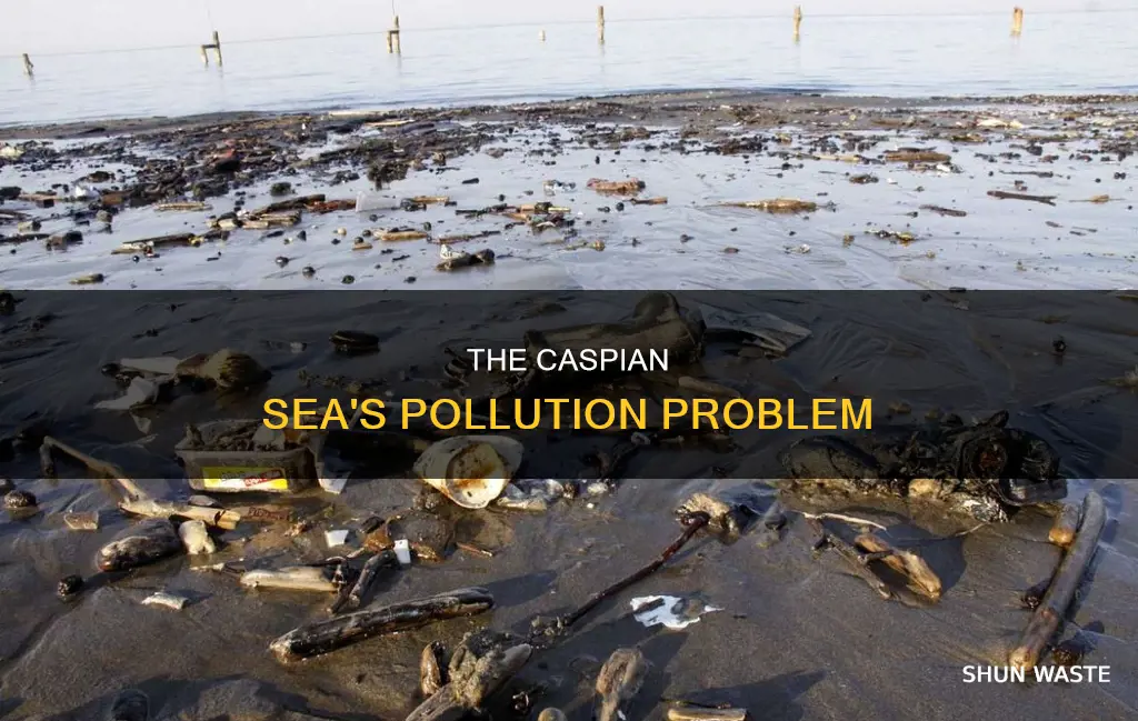 how polluted is the caspian sea