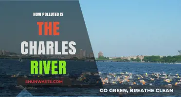 Charles River: A Polluted Paradise?
