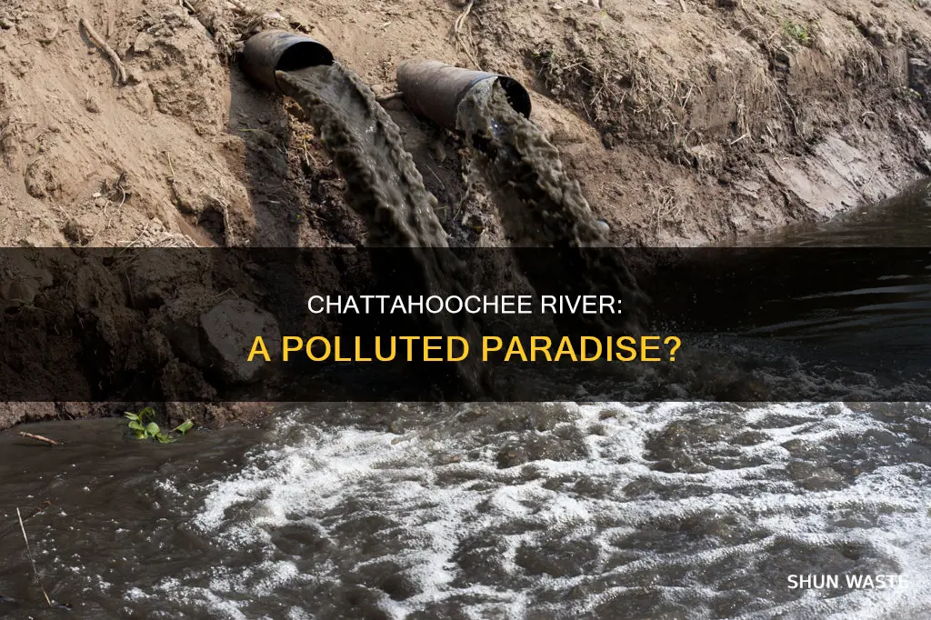 how polluted is the chattahoochee river