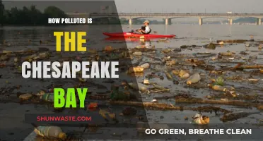 The Chesapeake Bay: A Polluted Paradise?