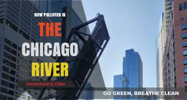 Chicago River: A Polluted Waterway Crisis