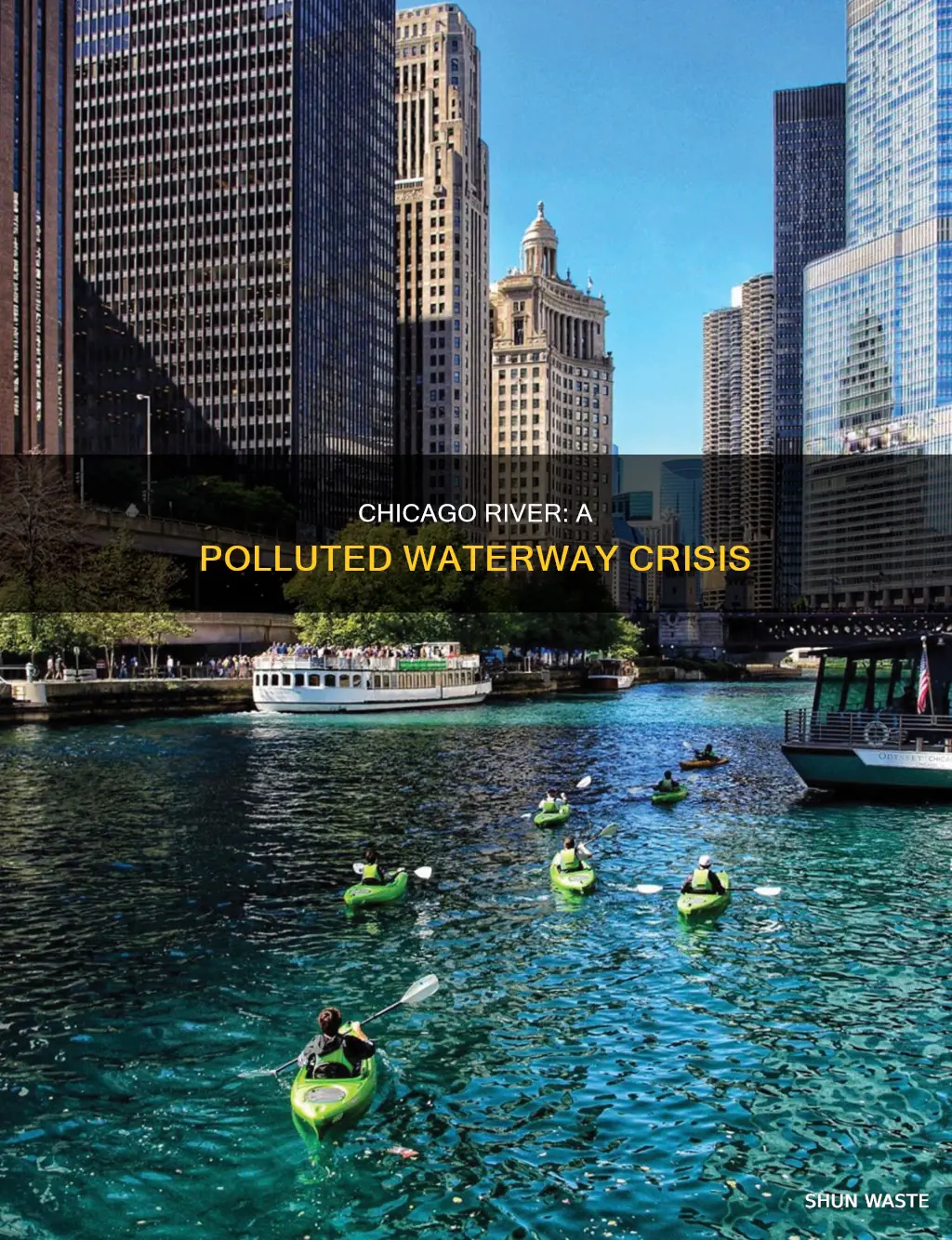 how polluted is the chicago river