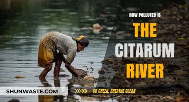 The Citarum River: A Polluted Waterway in Indonesia