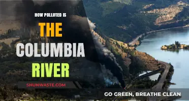 The Columbia River: A Polluted Paradise?