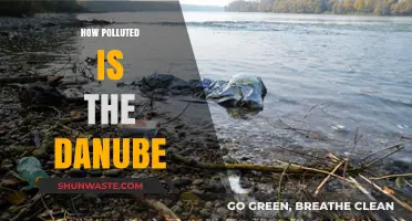The Danube's Pollution Crisis: A Comprehensive Overview
