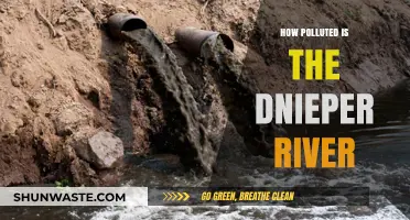 The Dnieper River: A Polluted Paradise