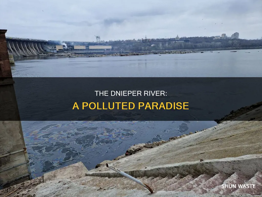 how polluted is the dnieper river