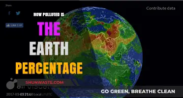 The Earth's Pollution Crisis: Understanding the Damage