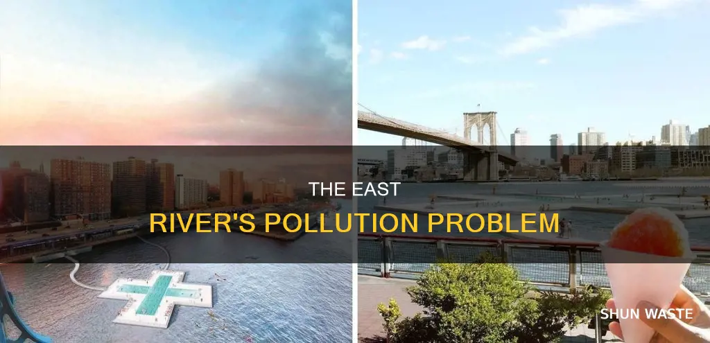 how polluted is the east river