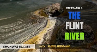 Flint River Pollution: A Troubling Overview