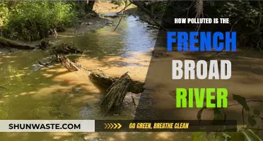 French Broad River: A Polluted Paradise?