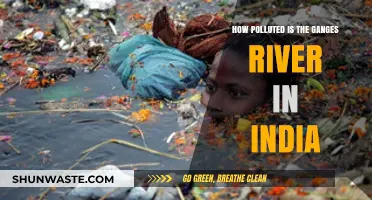 Ganges River: India's Polluted Lifeline