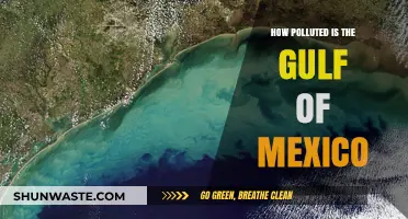 The Gulf of Mexico's Pollution Crisis
