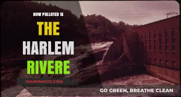 Harlem River's Pollution: A Comprehensive Overview
