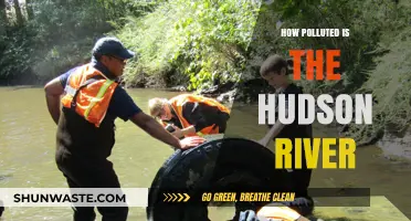The Hudson River: A Polluted Past and Present