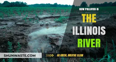 The Illinois River: A Polluted Waterway