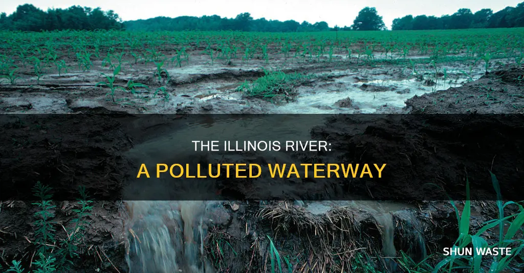 how polluted is the illinois river
