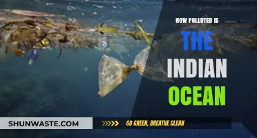 The Indian Ocean's Pollution Crisis: A Deep Dive