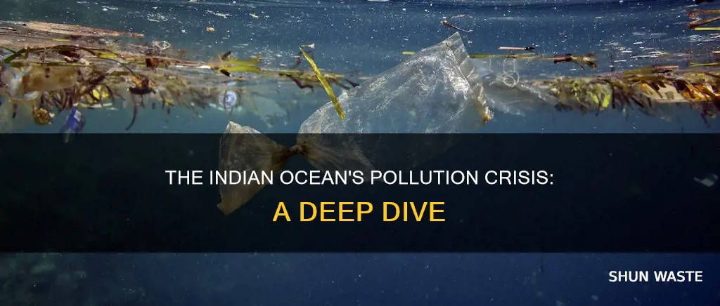 how polluted is the indian ocean