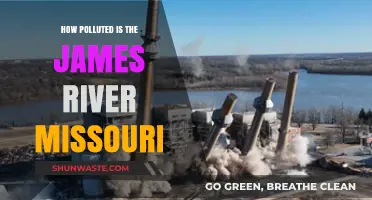 James River, Missouri: A Polluted Paradise?