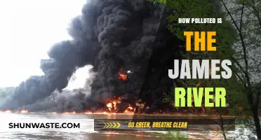 James River Pollution: A Troubling Reality