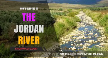 Jordan River Pollution: A Sacred Site's Plight