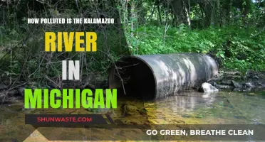 Kalamazoo River Pollution: A Michigan Crisis