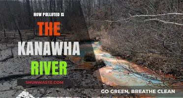 Kanawha River: A Polluted Waterway in Need of Help