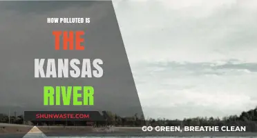 Kansas River Pollution: A Troubling Overview