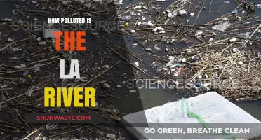 The LA River: A Polluted Paradise?