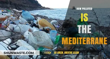 The Mediterranean's Pollution Crisis: An Urgent Wake-Up Call