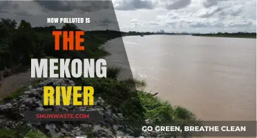 The Mekong River: A Polluted Paradise