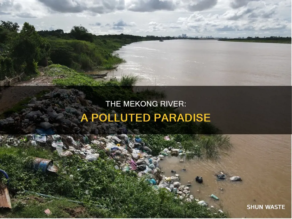 how polluted is the mekong river