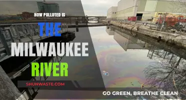 Milwaukee River: Pollution and Its Impact