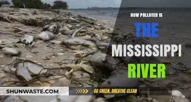 The Mississippi River: A Polluted Waterway