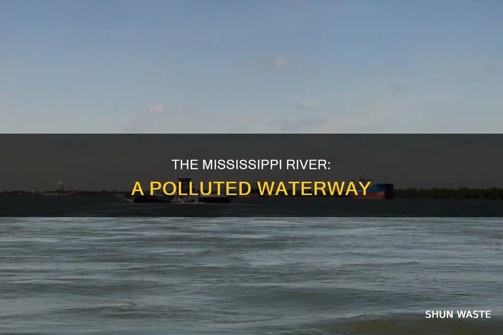 how polluted is the mississippi river