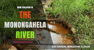 The Monongahela River: A Polluted Waterway?