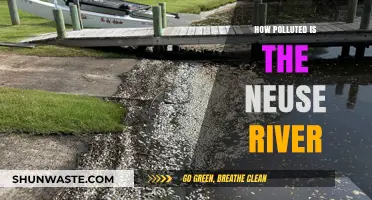 The Neuse River: A Polluted Paradise?
