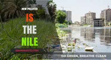 The Nile's Pollution Crisis: A Deep Dive