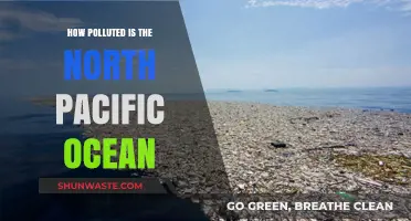 The North Pacific Ocean: A Polluted Paradise