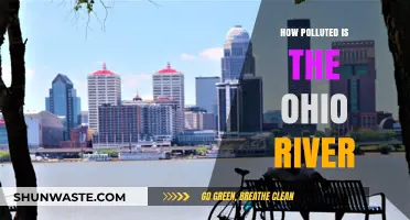 Ohio River Pollution: A Troubling Overview