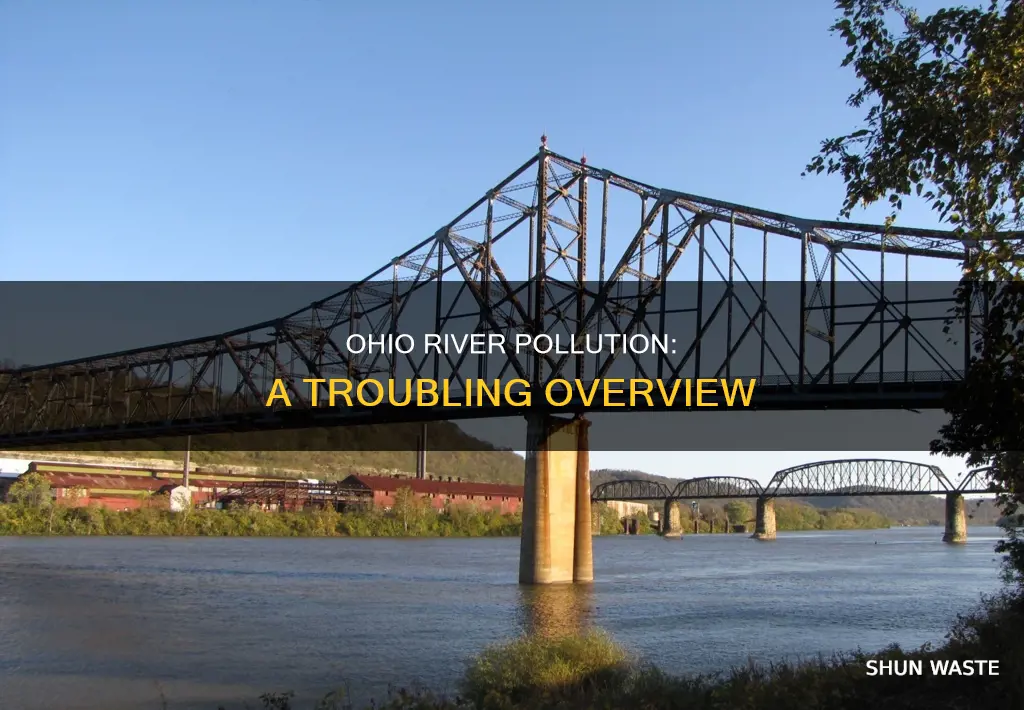 how polluted is the ohio river