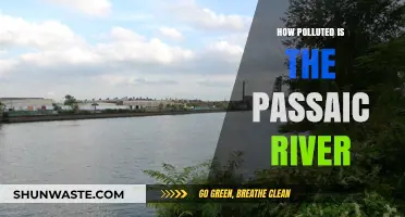 The Troubled Passaic River: A Pollution Story