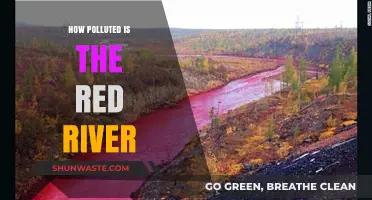 The Red River's Pollution Problem