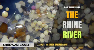 The Rhine River: A Polluted Paradise?