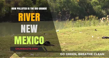 Rio Grande River: New Mexico's Polluted Lifeline