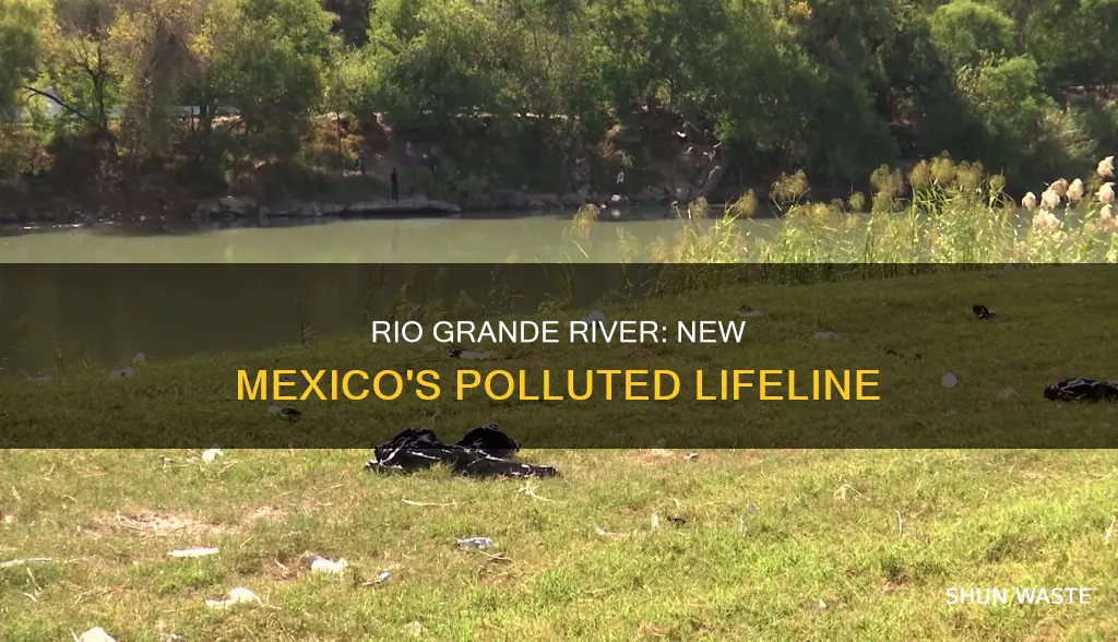how polluted is the rio grande river new mexico